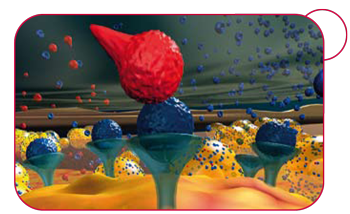 IL-1Ra (modré kuličky) chrání buňky chrupavky před agresivním IL-1 (červené kuličky).